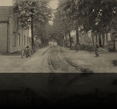 Halle Lindedreef